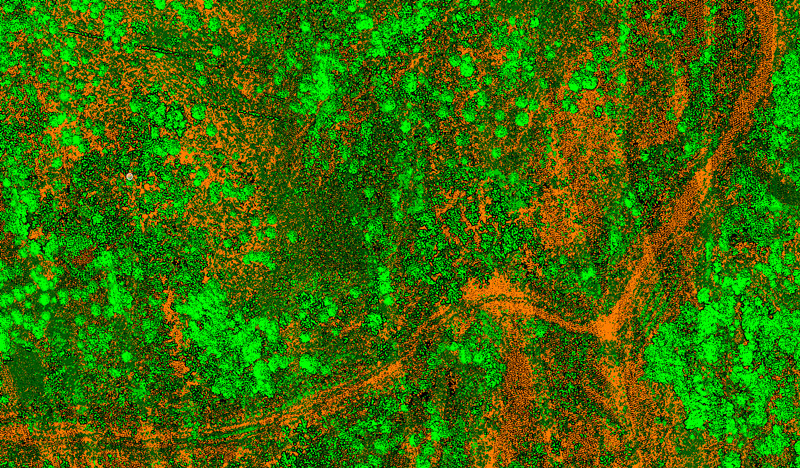 Crop and soil LiDAR result