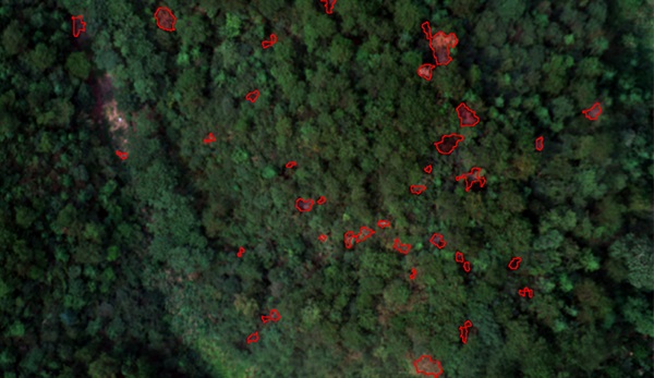 28娱乐CW航磁系统