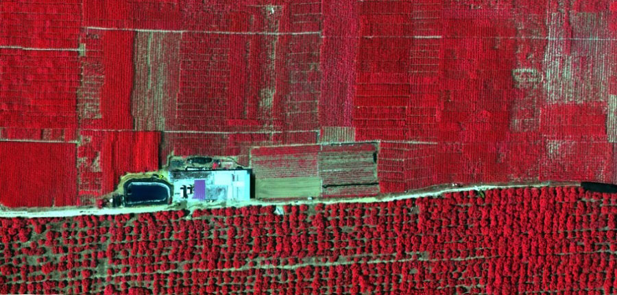 28娱乐CW航磁系统