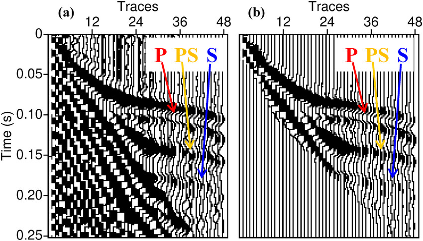 RAW seismic data